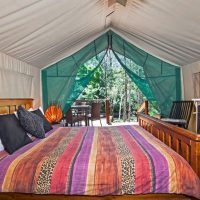 inside safari tent