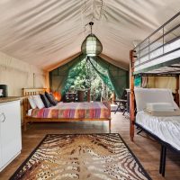 inside safari tent