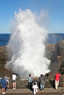 Blowhole