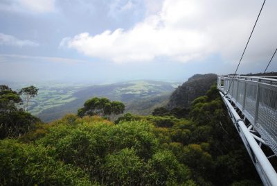 illawarra fly