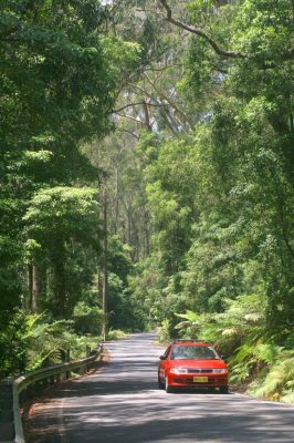 Jamberoo