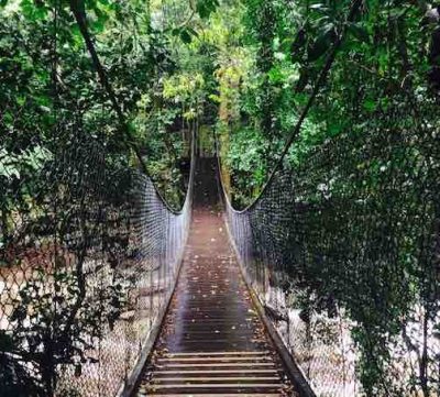 Minnamurra Rainforest Centre 600x500