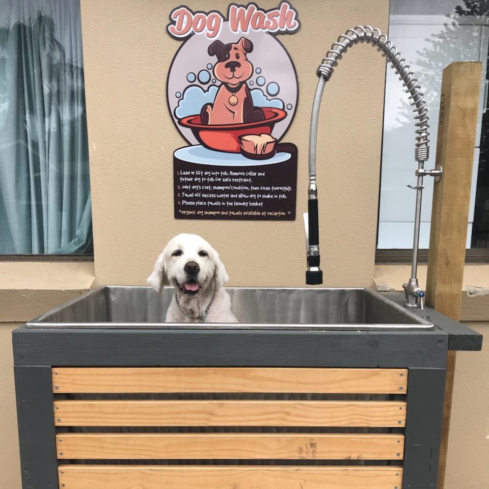 dog wash Seven Mile Beach