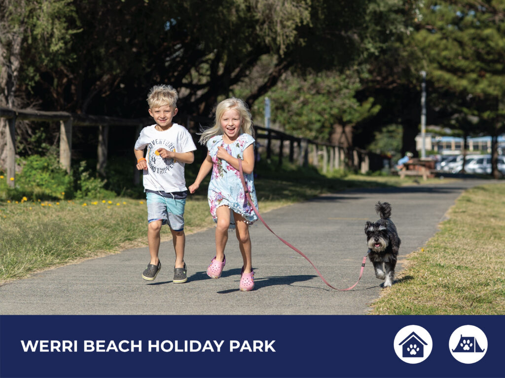 Pet Friendly Kiama Gerringong Gerroa Werri Beach