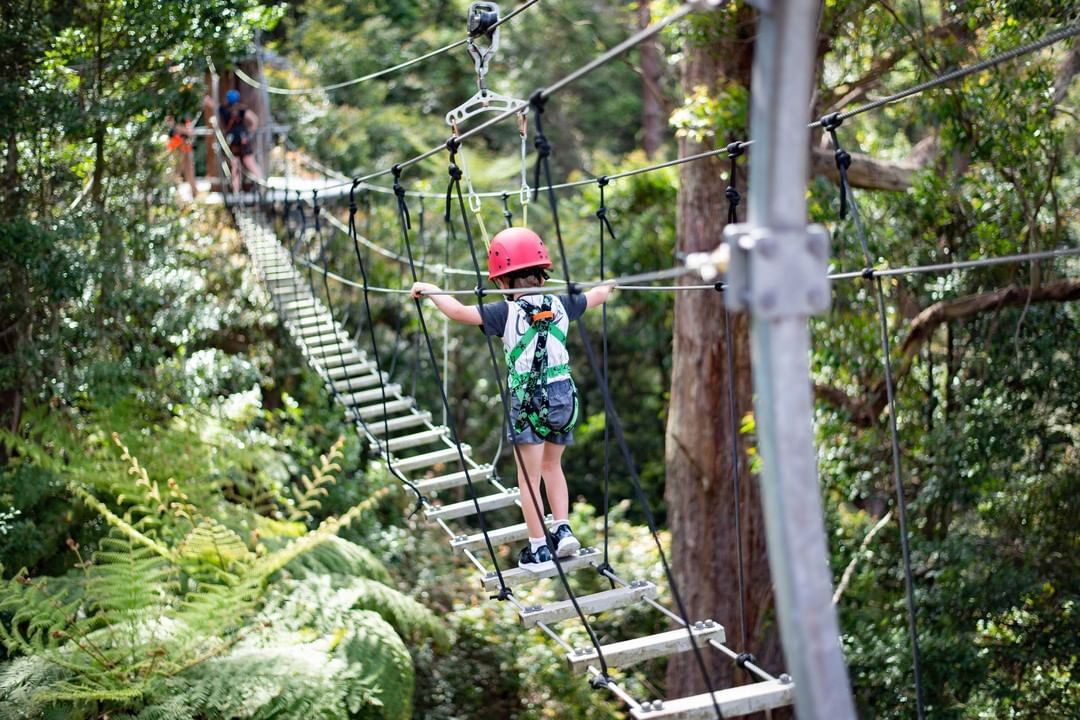194550948_538074494034771_6996561297637321543_n Photo Credit: Destination Kiama & Illawarra Fly