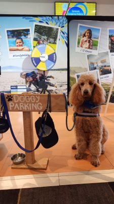 Sydney Camping Caravan Show