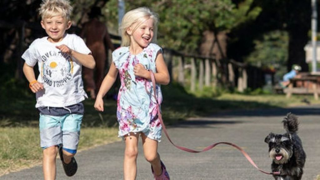 Dog-friendly cabin at Werri Beach Holiday Park in Gerringong