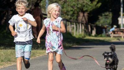 Dog-friendly cabin at Werri Beach Holiday Park in Gerringong