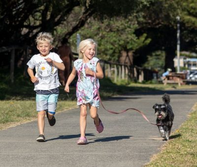 Werri Beach Holiday Park Dog Friendly