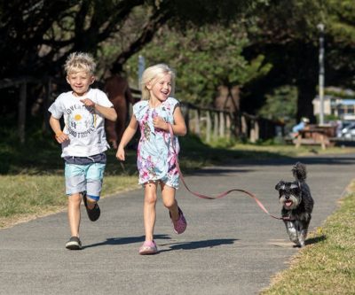 Werri Beach Holiday Park Dog Friendly