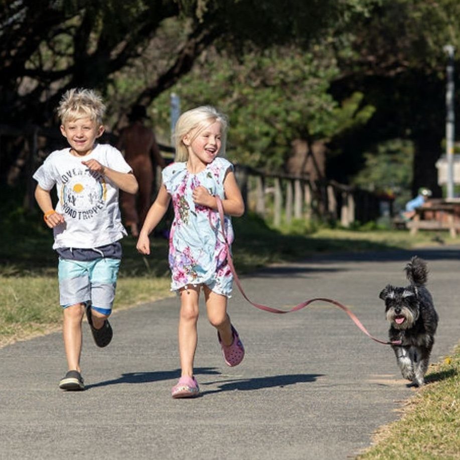 Werri Beach Holiday Park Dog Friendly